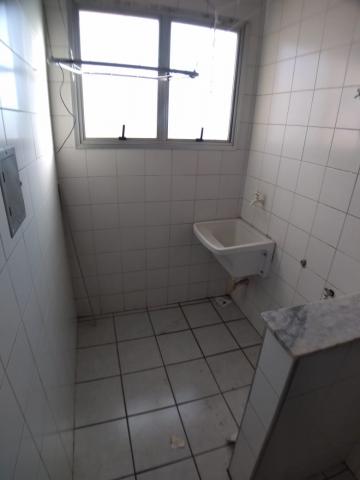 imagem 4 - Apartamento de 41m² com 01 quarto para locação - Presidente Médici imagem 4 - Apartamento de 41m² com 01 quarto para locação - Presidente Médici