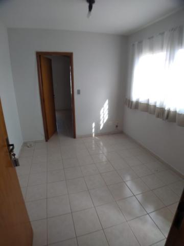 imagem 1 - Apartamento de 01 quarto para locação - Jardim Irajá imagem 1 - Apartamento de 01 quarto para locação - Jardim Irajá
