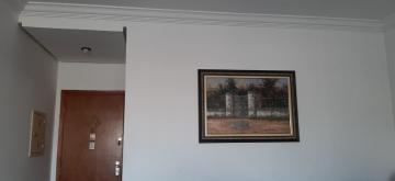 imagem 3 - Apartamento - Padrão imagem 3 - Apartamento - Padrão