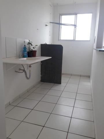 imagem 3 - Apartamento - Padrão imagem 3 - Apartamento - Padrão