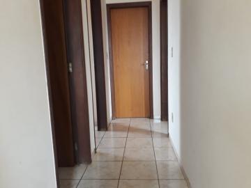 imagem 4 - Casa - Padrão imagem 4 - Casa - Padrão