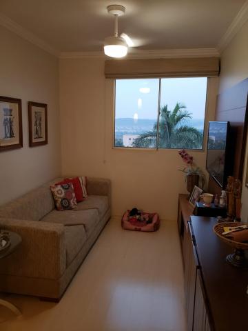 imagem 1 - Apartamento - Padrão imagem 1 - Apartamento - Padrão