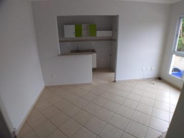 imagem 3 - Apartamento de 40m² com 01 quarto à venda - Jardim Palma Travassos imagem 3 - Apartamento de 40m² com 01 quarto à venda - Jardim Palma Travassos