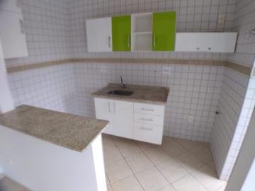imagem 5 - Apartamento de 40m² com 01 quarto à venda - Jardim Palma Travassos imagem 5 - Apartamento de 40m² com 01 quarto à venda - Jardim Palma Travassos