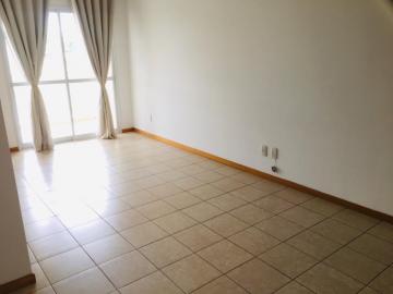 imagem 4 - APARTAMENTO NO CENTRO imagem 4 - APARTAMENTO NO CENTRO