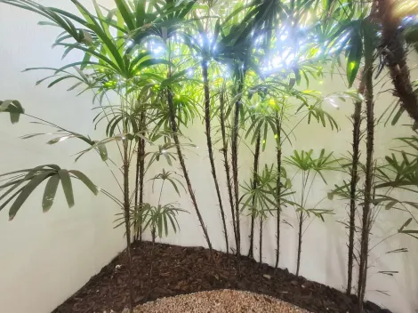 imagem 4 - Prédio comercial de 254m² com 09 Salas para venda e locação - Jardim Califórnia imagem 4 - Prédio comercial de 254m² com 09 Salas para venda e locação - Jardim Califórnia