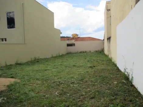 imagem 1 - Terreno murado de 301m² à venda - LAGOINHA imagem 1 - Terreno murado de 301m² à venda - LAGOINHA