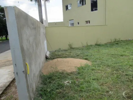 imagem 2 - Terreno murado de 301m² à venda - LAGOINHA imagem 2 - Terreno murado de 301m² à venda - LAGOINHA