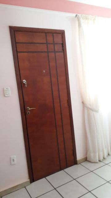imagem 1 - Apartamento - Padrão imagem 1 - Apartamento - Padrão