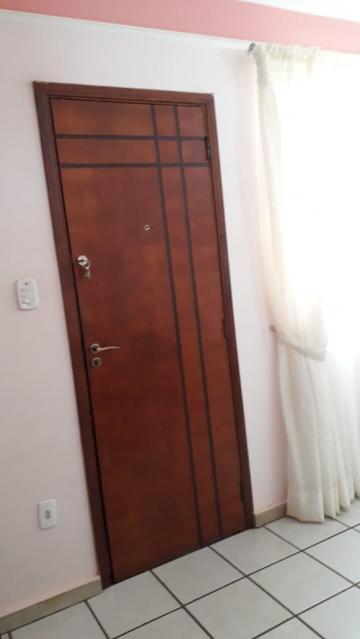 imagem 3 - Apartamento - Padrão imagem 3 - Apartamento - Padrão