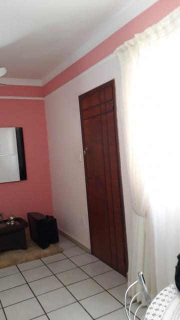imagem 5 - Apartamento - Padrão imagem 5 - Apartamento - Padrão