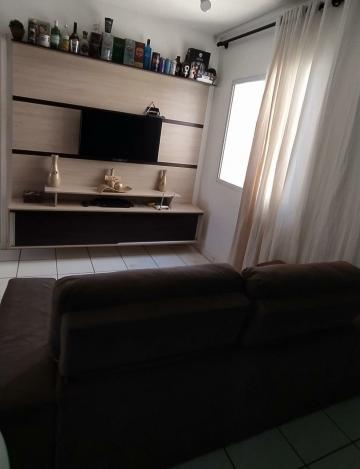 imagem 2 - APARTAMENTO PRÓXIMO À RODOVIA ANHANGUERA imagem 2 - APARTAMENTO PRÓXIMO À RODOVIA ANHANGUERA