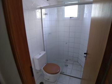 imagem 4 - Apartamento de 1 quarto - Vila Ana Maria imagem 4 - Apartamento de 1 quarto - Vila Ana Maria
