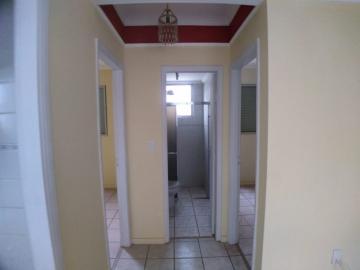 Alugar Apartamentos / Padrão em Ribeirão Preto R$ 700,00 - Foto 3