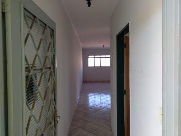 Alugar Apartamentos / Studio/Kitnet em Ribeirão Preto R$ 800,00 - Foto 3