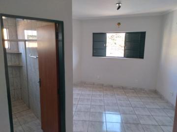Alugar Apartamentos / Studio/Kitnet em Ribeirão Preto R$ 800,00 - Foto 10