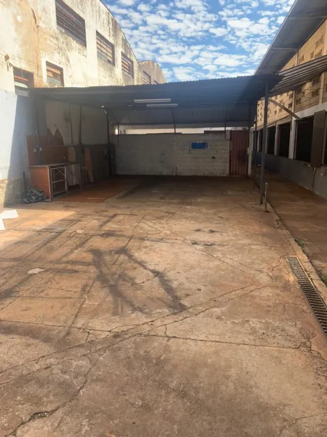 imagem 3 - Casa comercial de 550m² para locação - Jardim Paulistano imagem 3 - Casa comercial de 550m² para locação - Jardim Paulistano