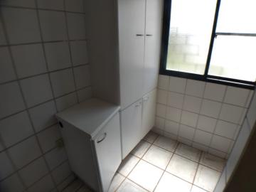 imagem 5 - Apartamento de 34m² com 01 suíte para locação - Jardim Palma Travassos imagem 5 - Apartamento de 34m² com 01 suíte para locação - Jardim Palma Travassos