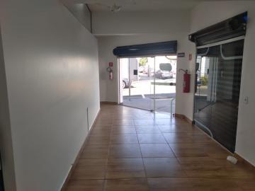 imagem 2 - Comercial padrão - Galpão - Armazém imagem 2 - Comercial padrão - Galpão - Armazém