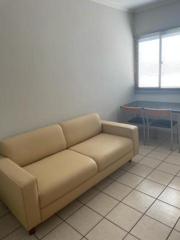 imagem 3 - Apartamento - Padrão imagem 3 - Apartamento - Padrão
