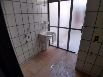 imagem 4 - Apartamento de 105m² com 03 quartos á venda - Jardim Irajá imagem 4 - Apartamento de 105m² com 03 quartos á venda - Jardim Irajá