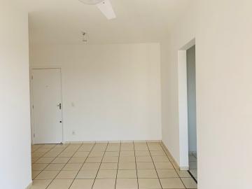 imagem 2 - Apartamento de 02 quartos para locação - Lagoinha imagem 2 - Apartamento de 02 quartos para locação - Lagoinha