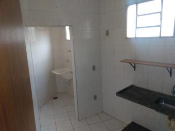 imagem 5 - Kitnet de 24m² com 01 quarto para locação -Vila Monte Alegre imagem 5 - Kitnet de 24m² com 01 quarto para locação -Vila Monte Alegre