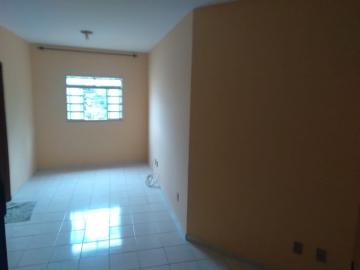 imagem 2 - Kitnet de 24m² com 01 quarto para locação -Vila Monte Alegre imagem 2 - Kitnet de 24m² com 01 quarto para locação -Vila Monte Alegre