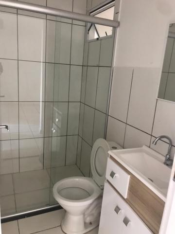 Alugar Apartamentos / Padrão em Ribeirão Preto R$ 500,00 - Foto 4