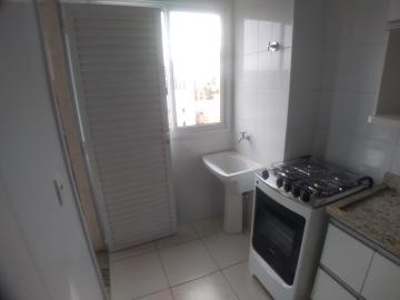 imagem 5 - Apartamento de 50m² com 01 quarto para locação - Nova Aliança imagem 5 - Apartamento de 50m² com 01 quarto para locação - Nova Aliança