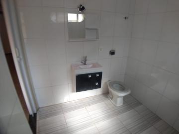 Alugar Apartamentos / Studio/Kitnet em Ribeirão Preto R$ 550,00 - Foto 5