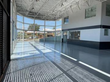 imagem 1 - Casa comercial de 500m² com 05 banheiros - City Ribeirão imagem 1 - Casa comercial de 500m² com 05 banheiros - City Ribeirão