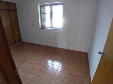 imagem 5 - Casa sobrado de 277m² com 04 quartos para locação - Vila Tibério imagem 5 - Casa sobrado de 277m² com 04 quartos para locação - Vila Tibério
