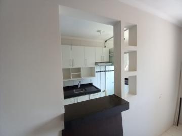 Alugar Apartamentos / Padrão em Ribeirão Preto R$ 800,00 - Foto 3