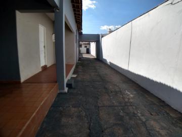 imagem 1 - Casa com edícula para locação - Jardim Paulistano imagem 1 - Casa com edícula para locação - Jardim Paulistano