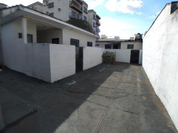 imagem 4 - Casa com edícula para locação - Jardim Paulistano imagem 4 - Casa com edícula para locação - Jardim Paulistano