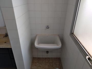 imagem 5 - APARTAMENTO NO CENTRO imagem 5 - APARTAMENTO NO CENTRO