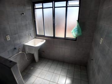 imagem 3 - Apartamento - Padrão imagem 3 - Apartamento - Padrão