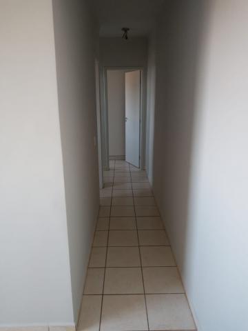 Alugar Apartamentos / Padrão em Ribeirão Preto R$ 800,00 - Foto 14