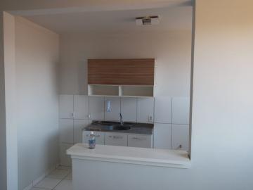 imagem 5 - Apartamento - Padrão imagem 5 - Apartamento - Padrão