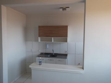 Alugar Apartamentos / Padrão em Ribeirão Preto R$ 800,00 - Foto 5