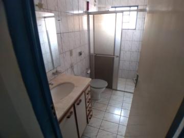 Alugar Apartamentos / Studio / Kitnet em Ribeirão Preto R$ 750,00 - Foto 10