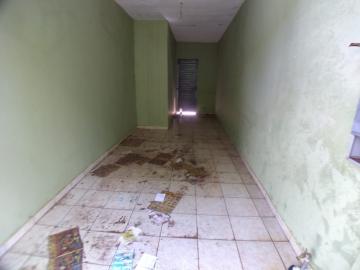 Alugar Casas / Padrão em Ribeirão Preto R$ 650,00 - Foto 1