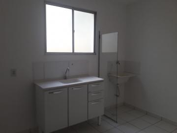Alugar Apartamentos / Padrão em Ribeirão Preto R$ 500,00 - Foto 8