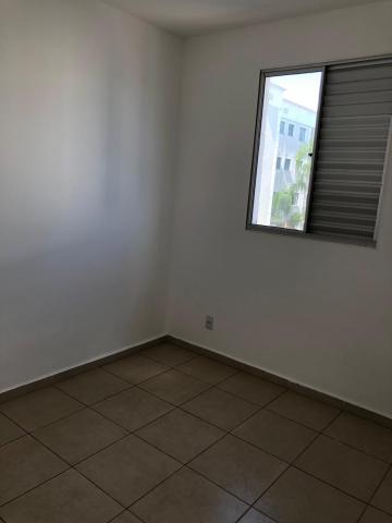 Alugar Apartamentos / Padrão em Ribeirão Preto R$ 650,00 - Foto 4