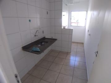 imagem 5 - APARTAMENTO NO JARDIM MARCHESI imagem 5 - APARTAMENTO NO JARDIM MARCHESI