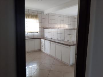 imagem 4 - RESIDÊNCIA COM SALÃO NO ALTO DO IPIRANGA imagem 4 - RESIDÊNCIA COM SALÃO NO ALTO DO IPIRANGA