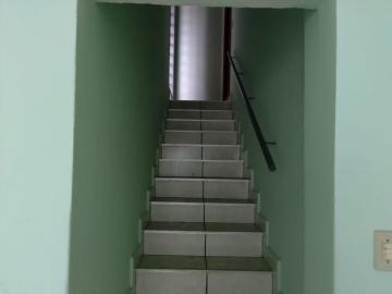 imagem 3 - Casa - Padrão imagem 3 - Casa - Padrão