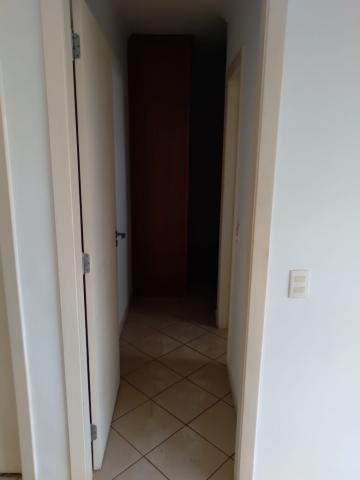 imagem 2 - Apartamento - Padrão imagem 2 - Apartamento - Padrão