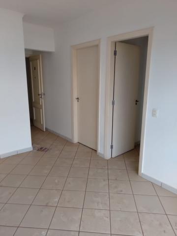 imagem 3 - Apartamento - Padrão imagem 3 - Apartamento - Padrão